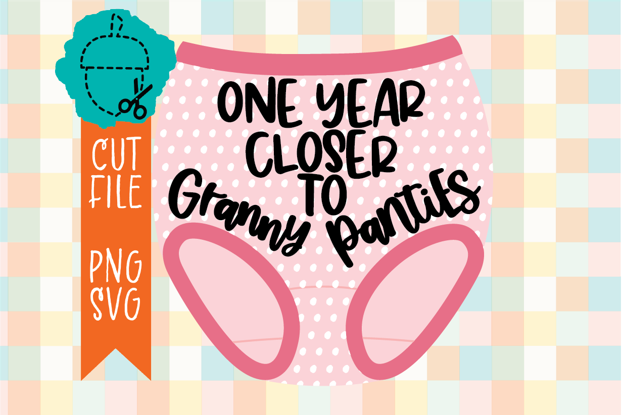 ONE YEAR CLOSER TO GRANNY PANTIES