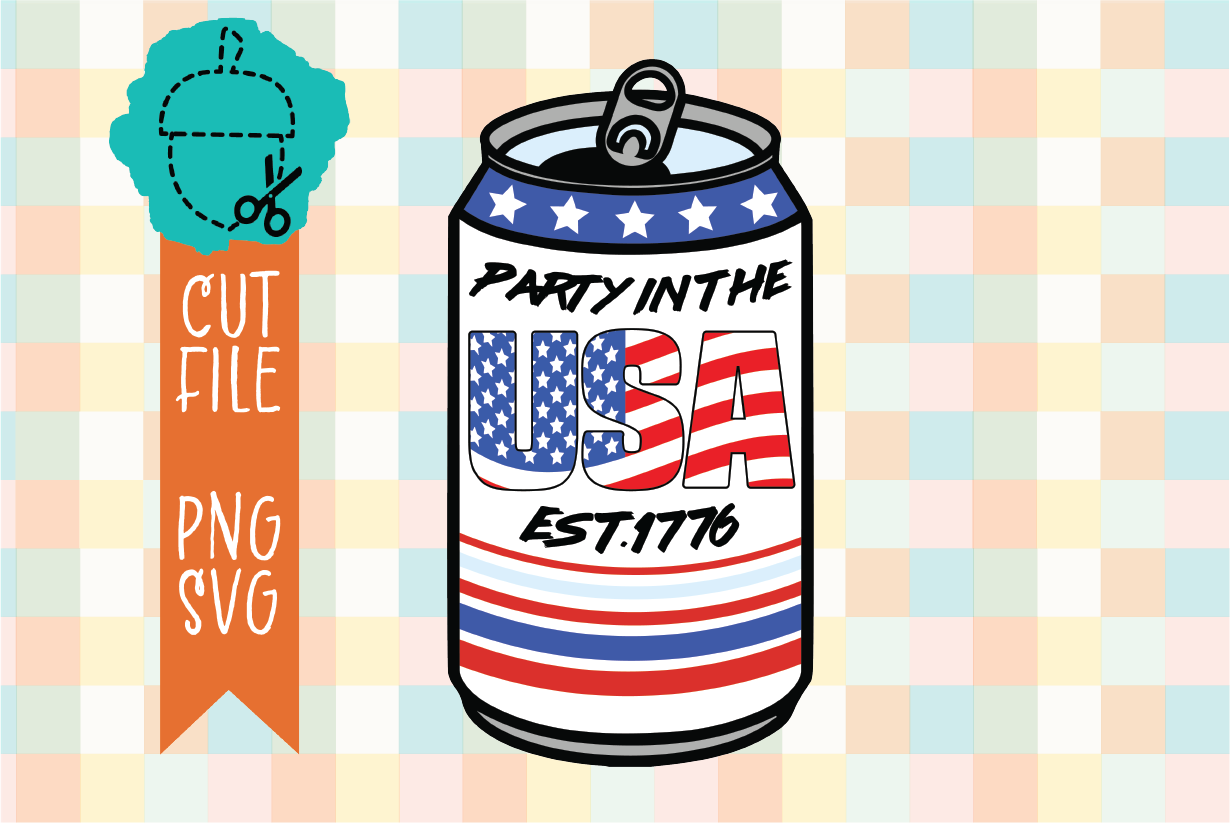PARTY IN THE USA