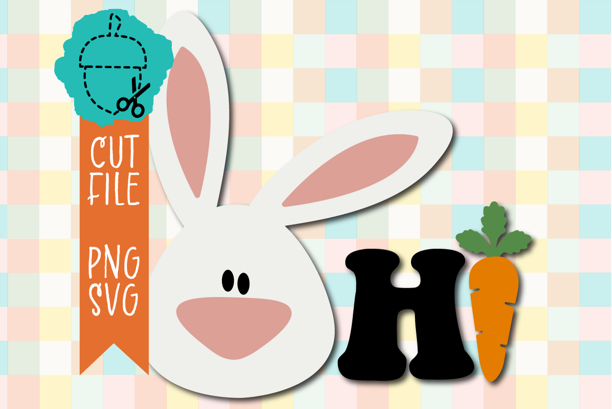 HI BUNNY